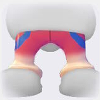 Triathlete Pants