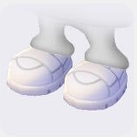 Triathlete Shoes