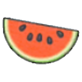 Watermelon slice