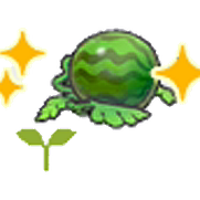Watermelon sprout (Grow)